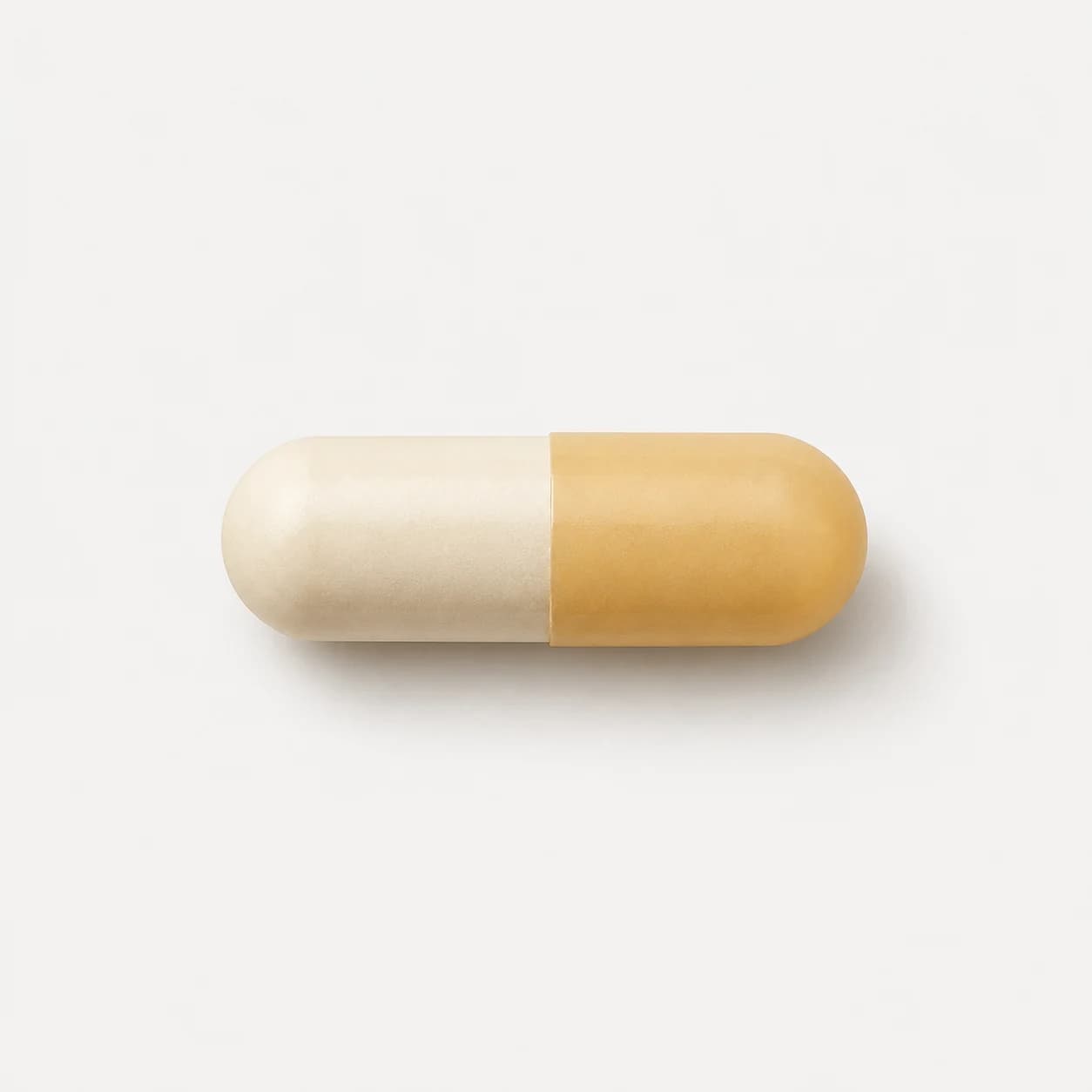 Digestive Enzymes