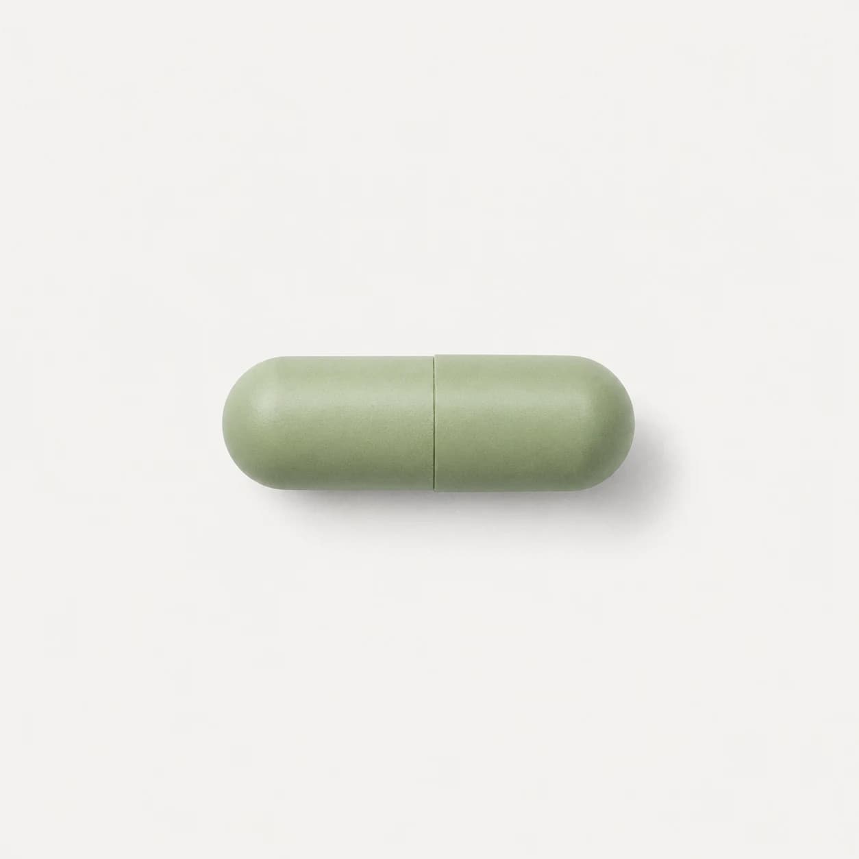 Green Tea Extract