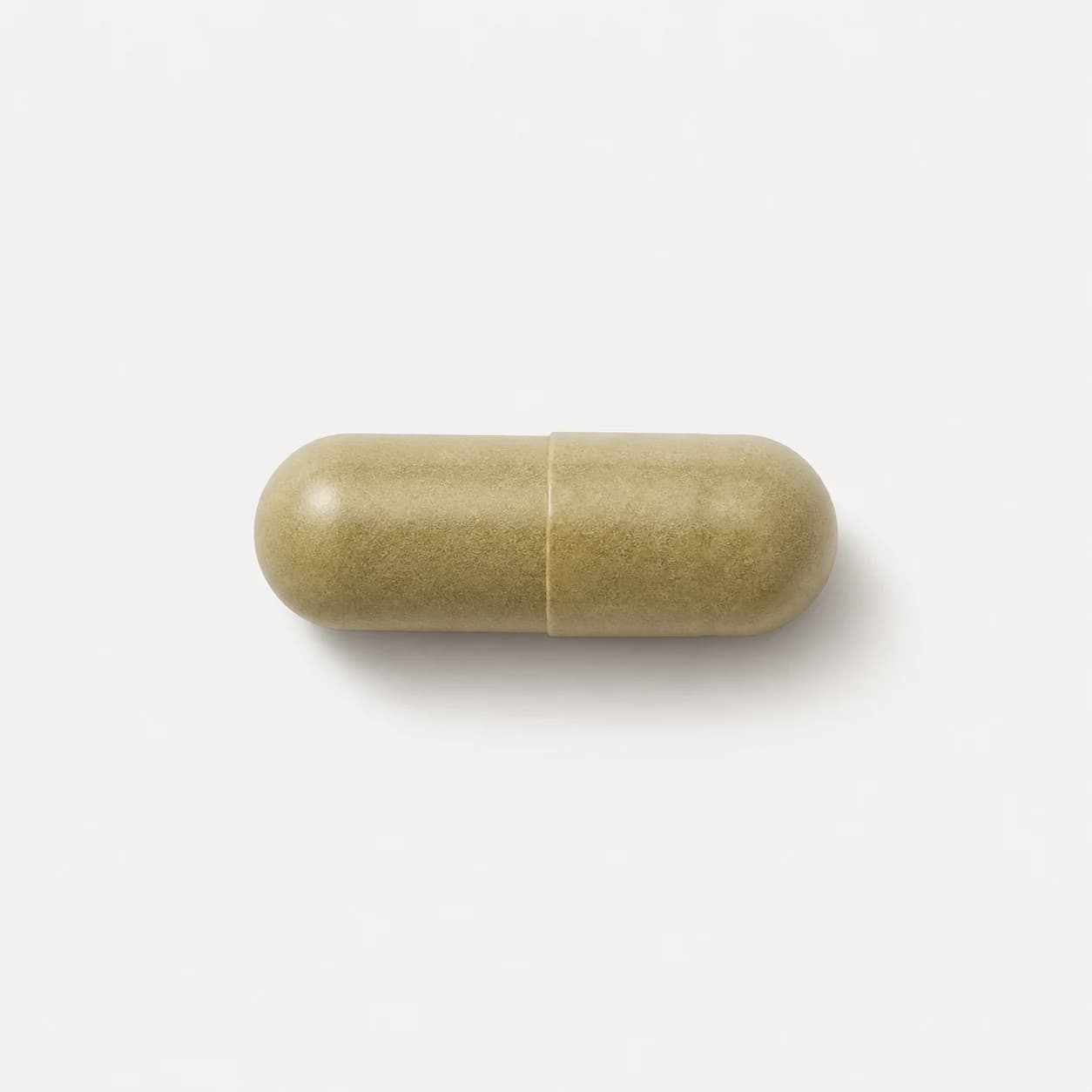 Milk Thistle