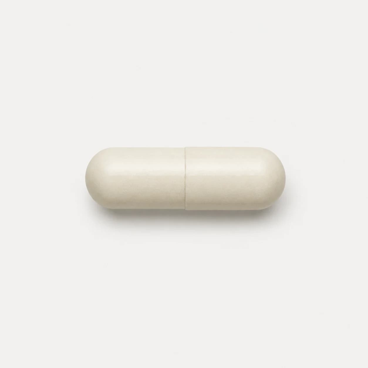 White Kidney Bean